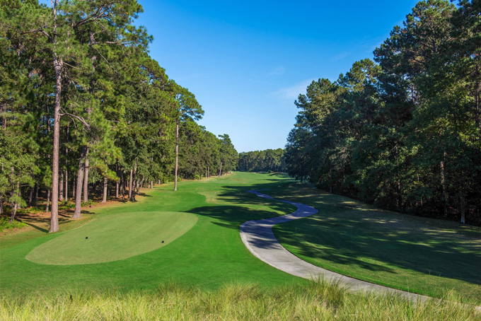 ChBeautifully manicured tee boxes at Hilton Head National Golf Club in Bluffton, SC, designed by Bobby Weed and Gary Player