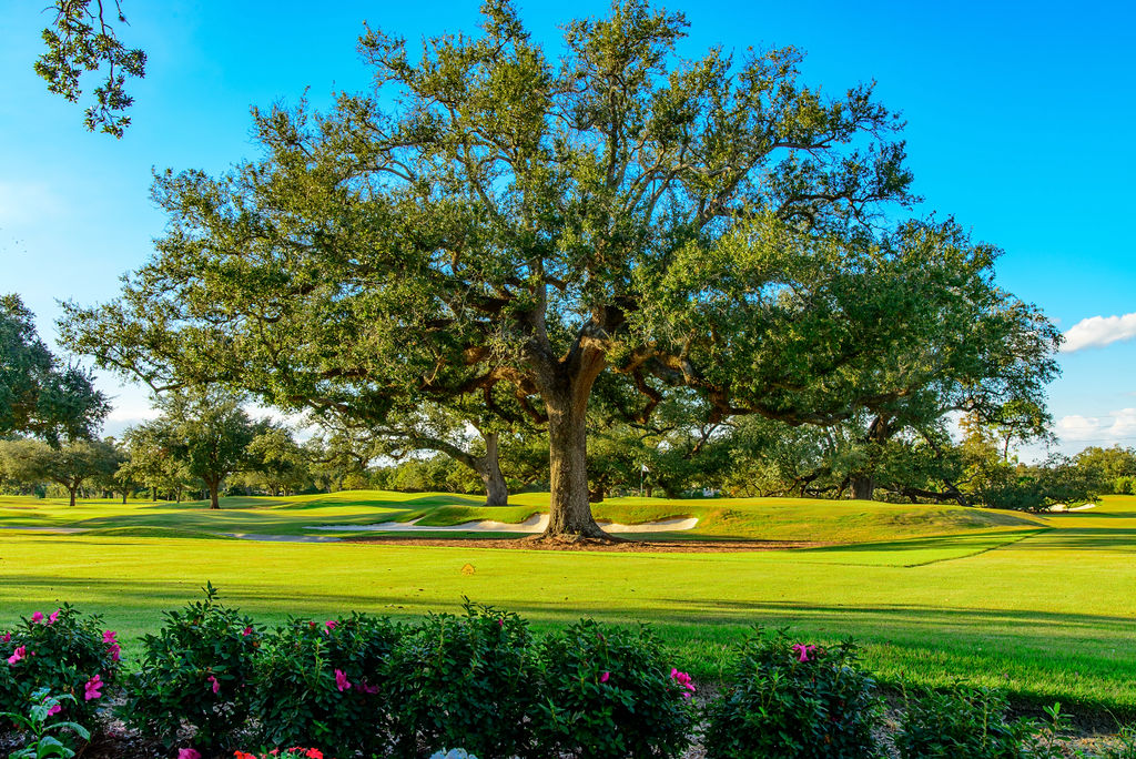 A stately oak tree that has stood the test of time provides an impressive backdrop and natural shade at New Orleans Country Club.